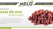Meló Pasas de Uva de Exportación
